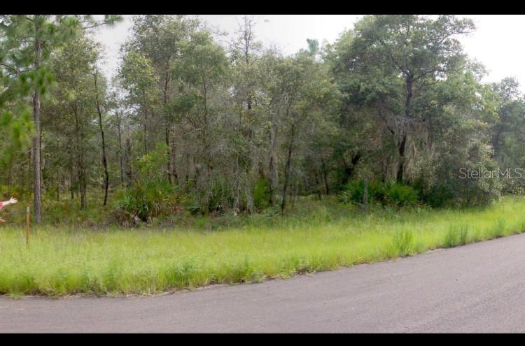 Property for sale at 2156 W DEERFIELD LANE, DUNNELLON, FL, 34434