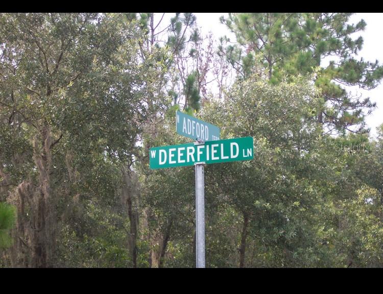 Property for sale at 2156 W DEERFIELD LANE, DUNNELLON, FL, 34434