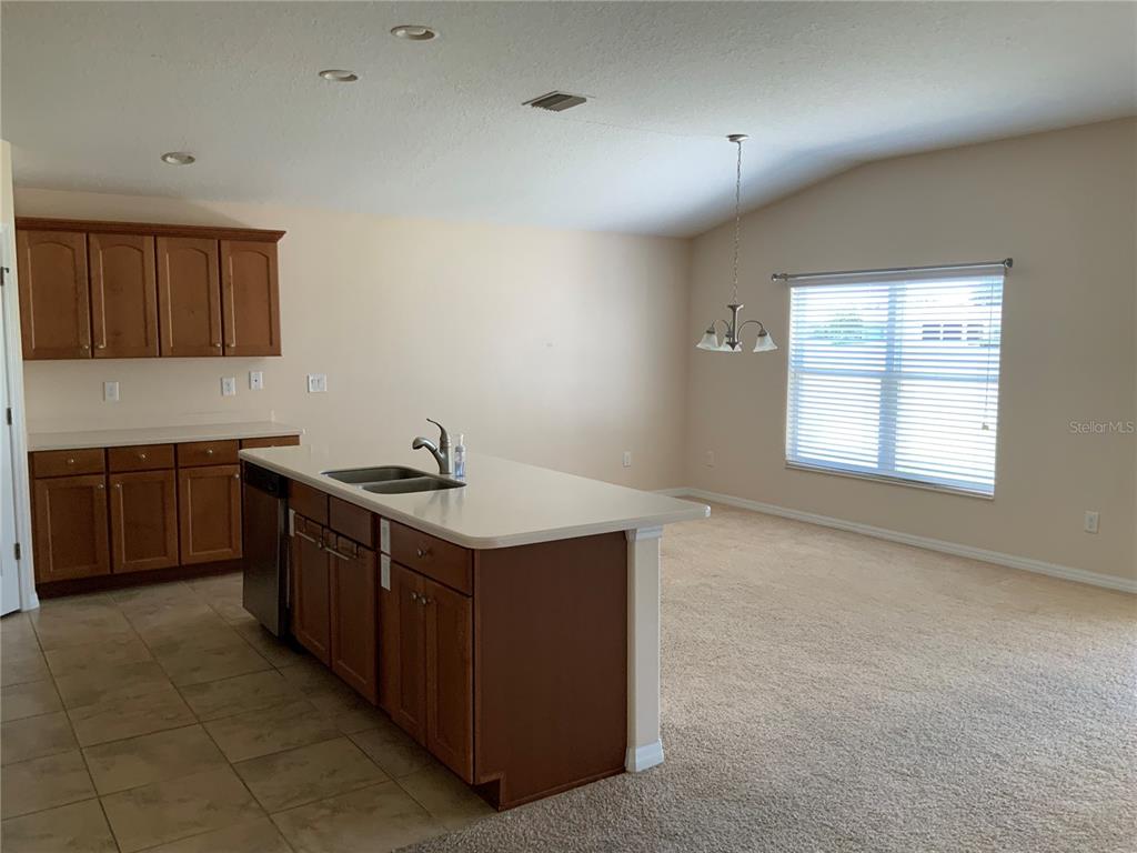 Property for sale at 27215 ROANOKE DRIVE, LEESBURG, FL, 34748