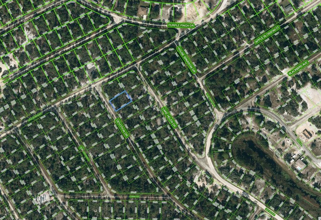 Property for sale at 525 DEVOTION DRIVE, LAKE PLACID, FL, 33852