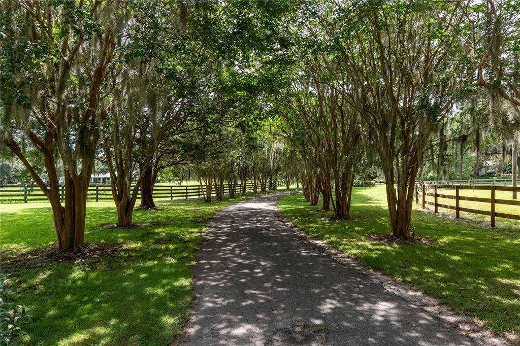 Property for sale at 12500 NW 100TH STREET, OCALA, FL, 34482