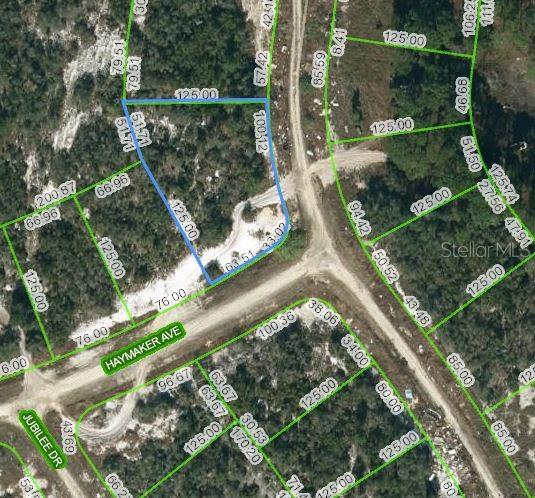 Property for sale at 124 SUMMER OAK COURT, LAKE PLACID, FL, 33852