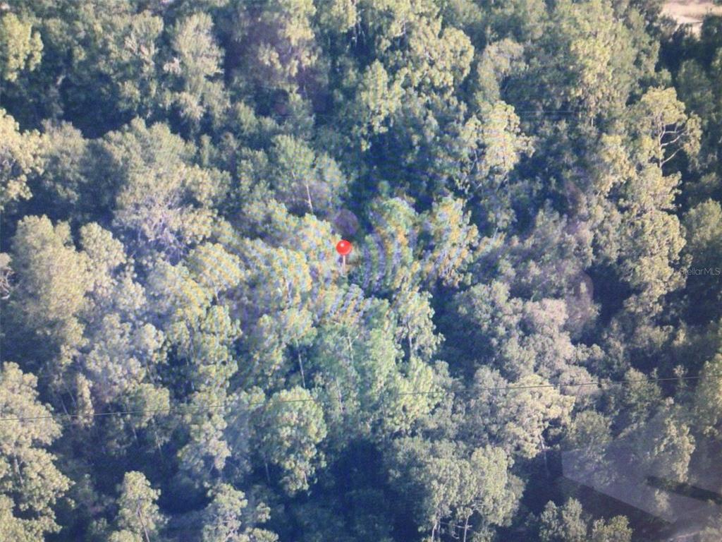 Property for sale at 0 SW 153 LANE, DUNNELLON, FL, 34432