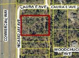 Property for sale at 17496 NICASIO JAY AVENUE, WEEKI WACHEE, FL, 34614