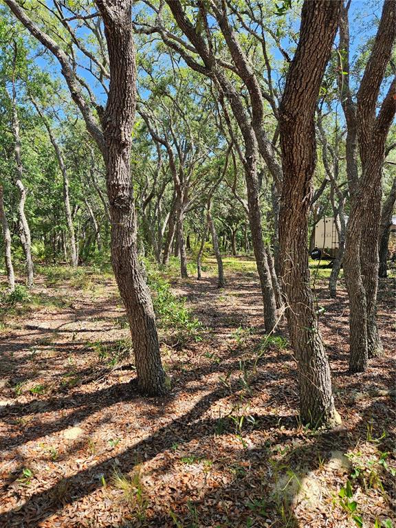 Property for sale at 4300 W ROADRUNNER COURT, HOMOSASSA, FL, 34446