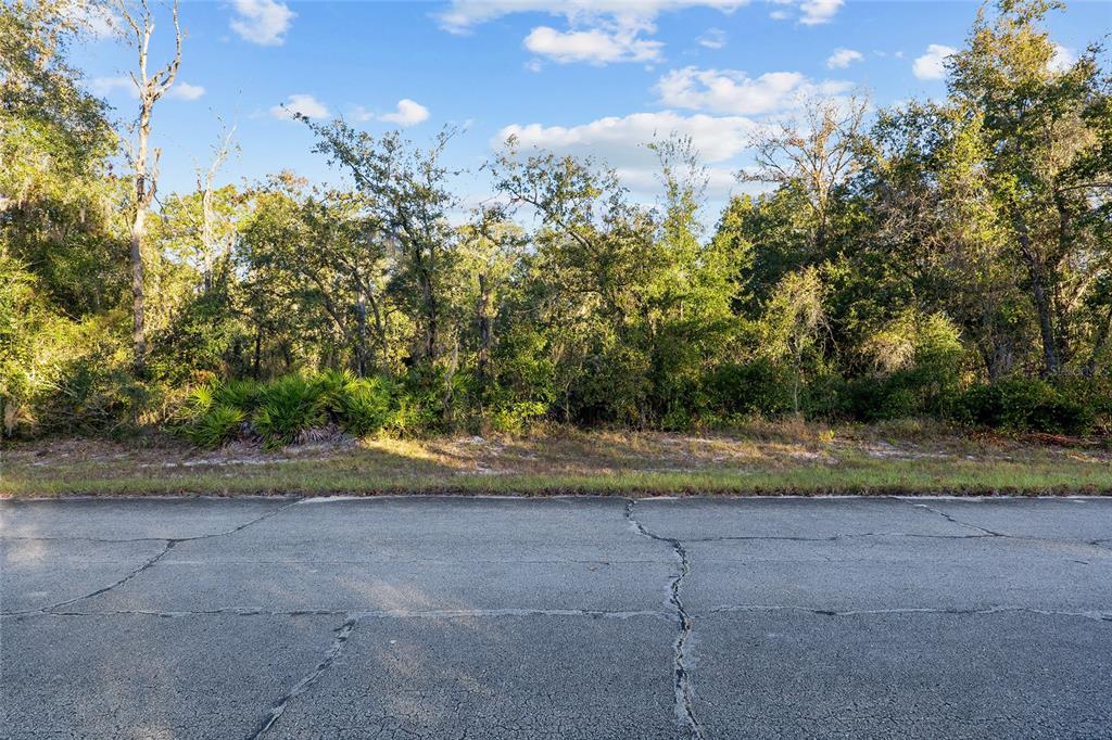 Property for sale at TBD SW 174 PLACE, OCALA, FL, 34473