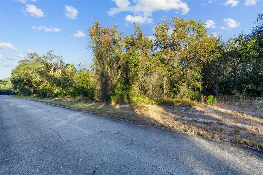Property for sale at TBD SW 174 PLACE, OCALA, FL, 34473