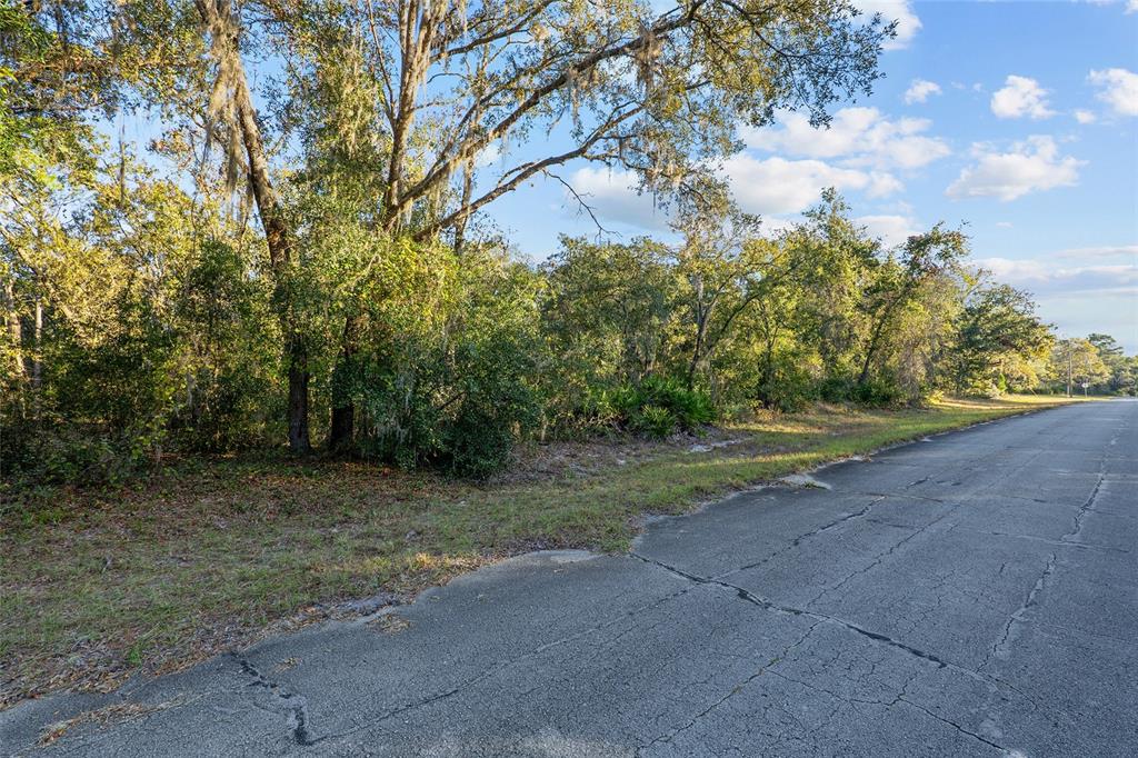 Property for sale at TBD SW 174 PLACE, OCALA, FL, 34473