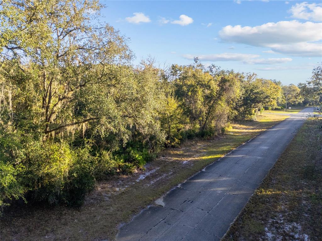Property for sale at TBD SW 174 PLACE, OCALA, FL, 34473