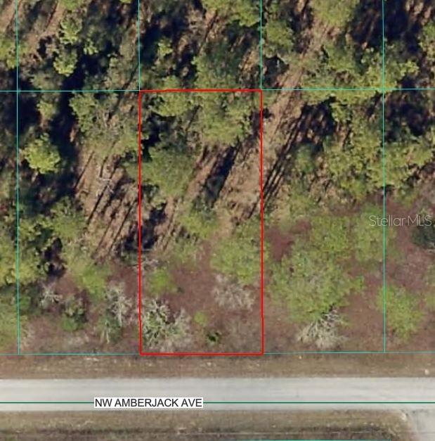 Property for sale at NW AMBERJACK AVENUE, DUNNELLON, FL, 34431
