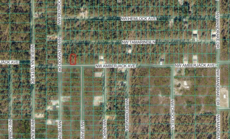 Property for sale at NW AMBERJACK AVENUE, DUNNELLON, FL, 34431