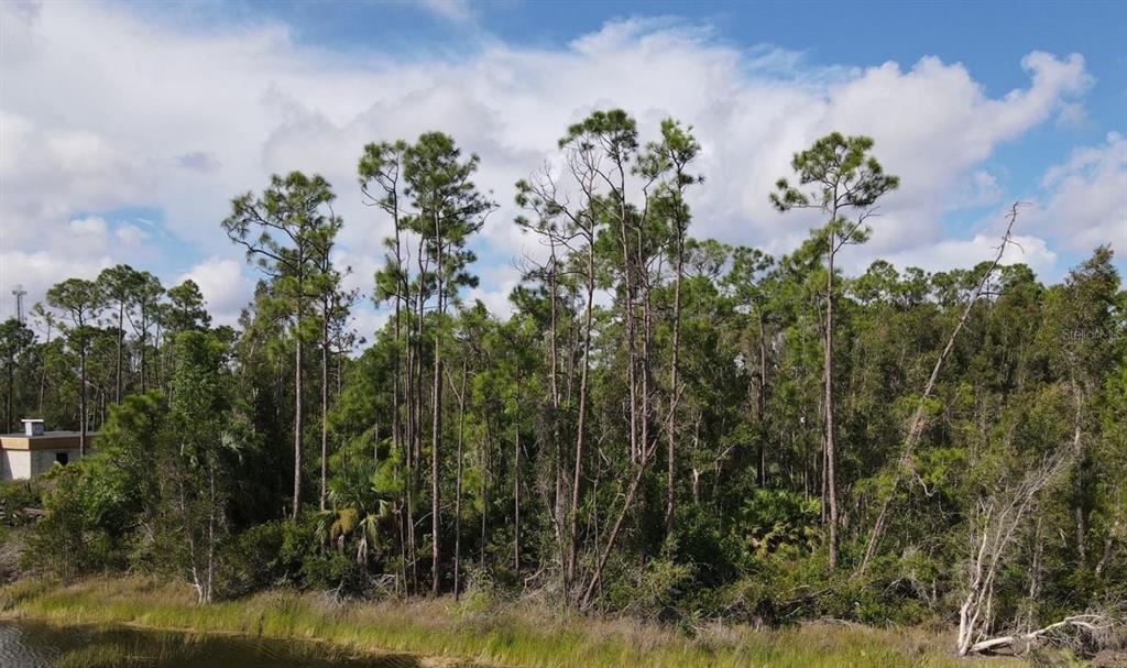 Property for sale at 12665 EASHA BOULEVARD, PUNTA GORDA, FL, 33955