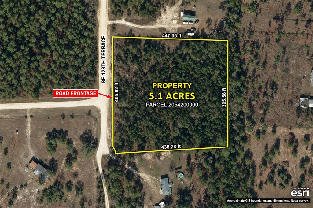 Property for sale at SE 128TH TERRACE, MORRISTON, FL, 32668