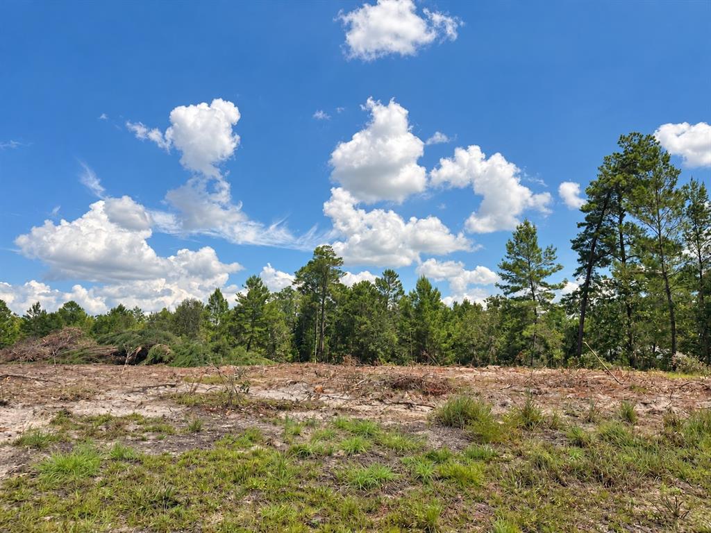 Ground-level view of the property. Photo enhanced for brightness and contrast.