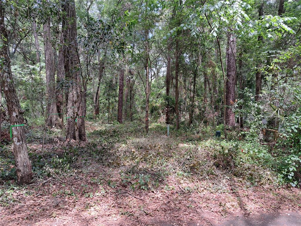 Property for sale at 2164 SW 37TH COURT, GAINESVILLE, FL, 32608