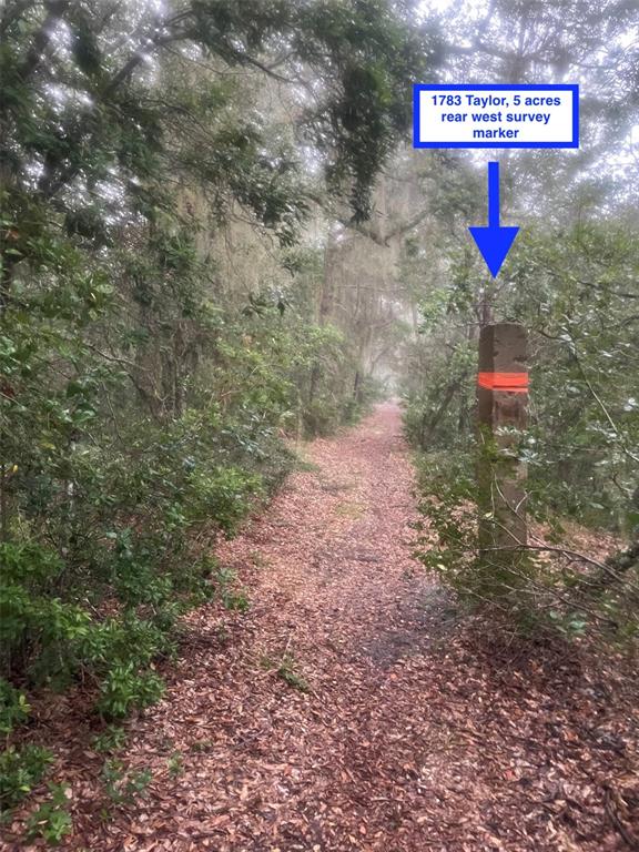 Property for sale at 1783 TAYLOR ROAD, PORT ORANGE, FL, 32128