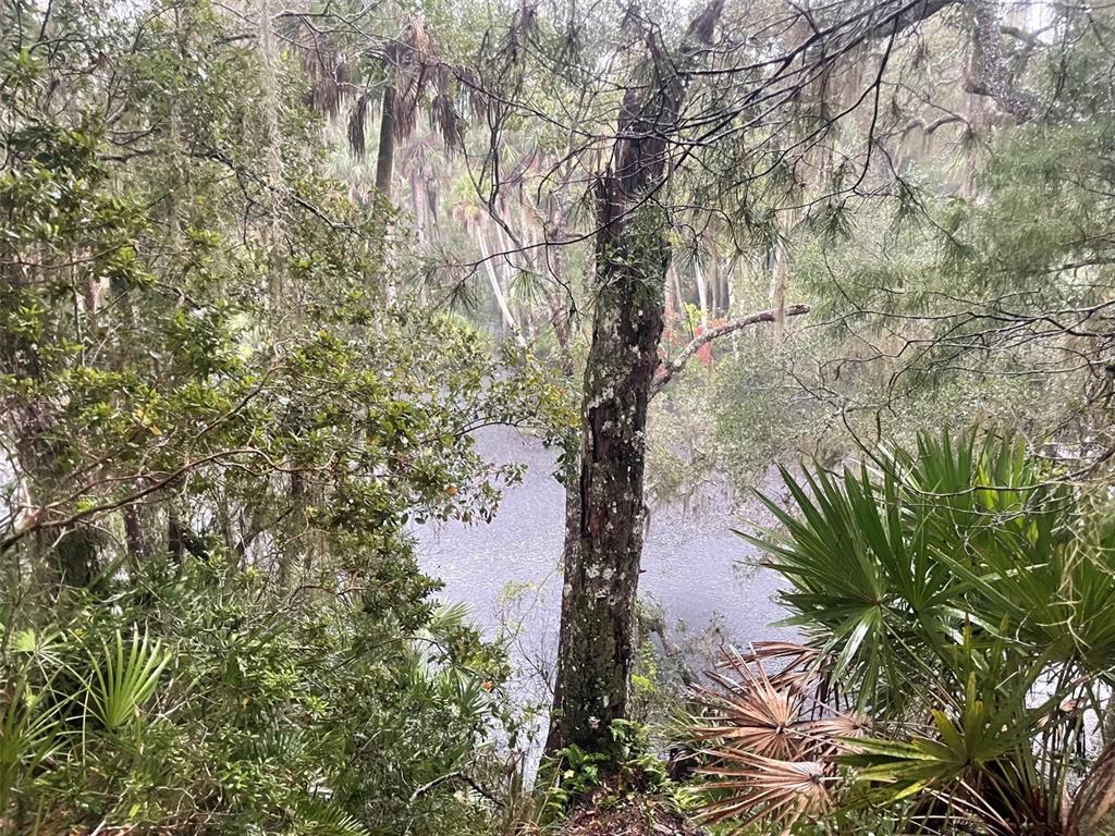 Property for sale at 1783 TAYLOR ROAD, PORT ORANGE, FL, 32128