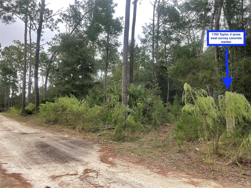 Property for sale at 1783 TAYLOR ROAD, PORT ORANGE, FL, 32128
