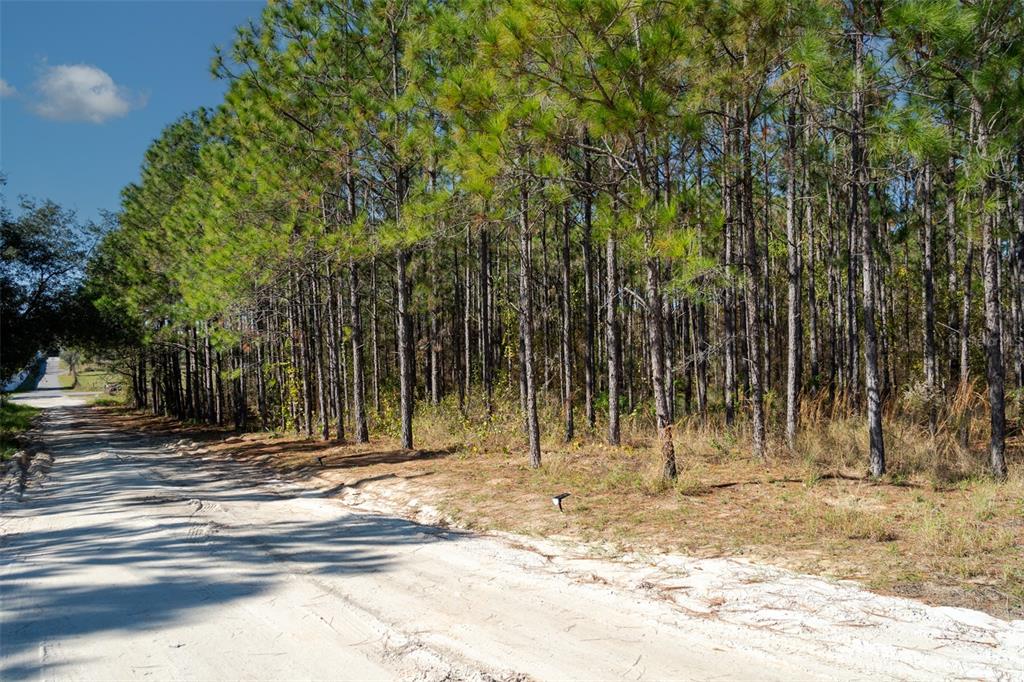 Property for sale at LOST LAKE ROAD, CLERMONT, FL, 34711