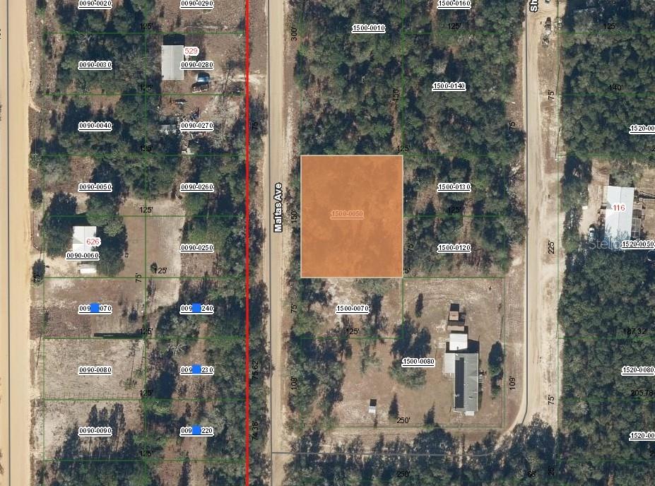 Property for sale at 00 MALTAS AVENUE, INTERLACHEN, FL, 32148