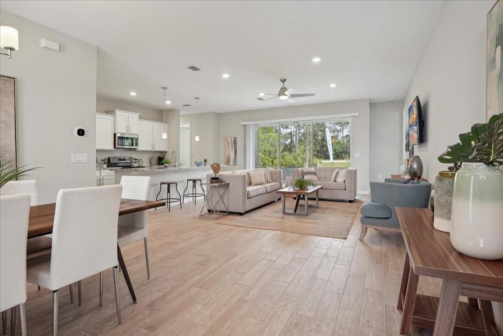 Dining / Living Room