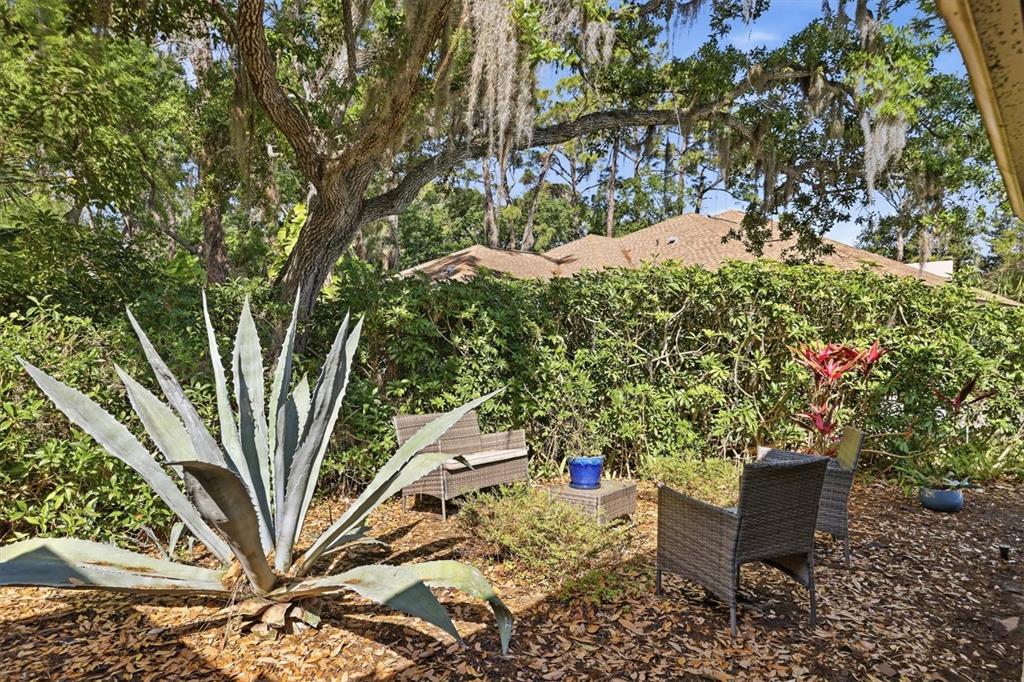 Open courtyard area near front walkway