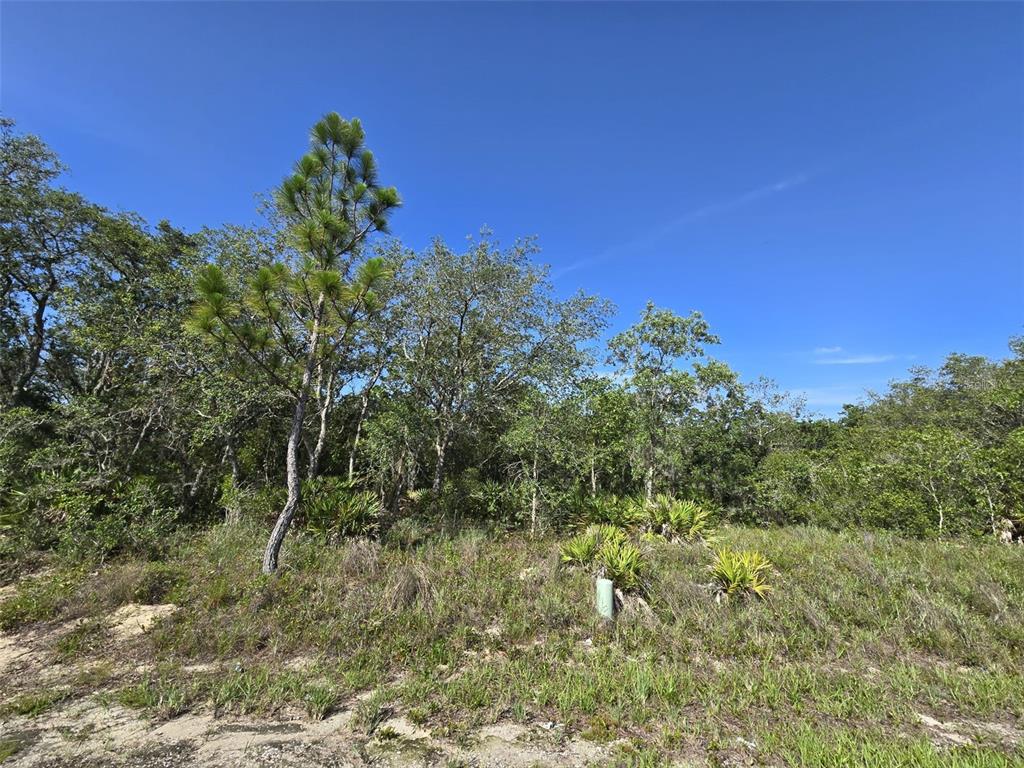 Property for sale at 112 TENCH DRIVE, KISSIMMEE, FL, 34759