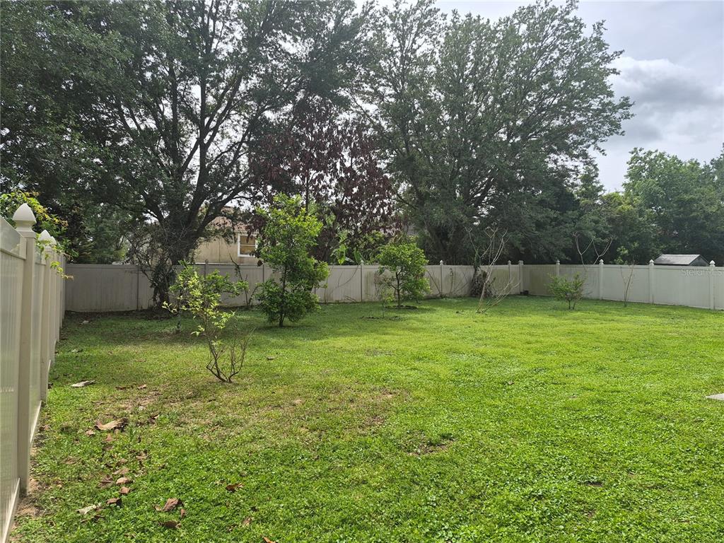 Backyard
