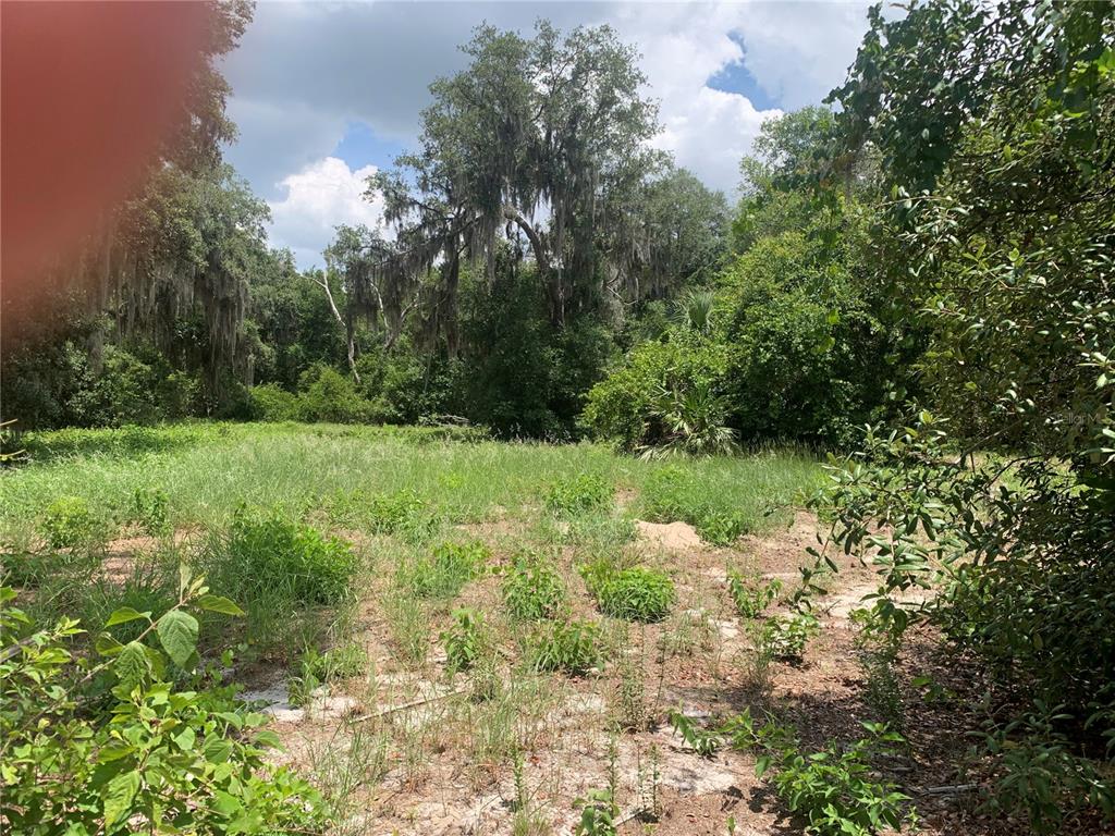 Property for sale at 3113 BRIGHT LAKE CIRCLE, GROVELAND, FL, 34736