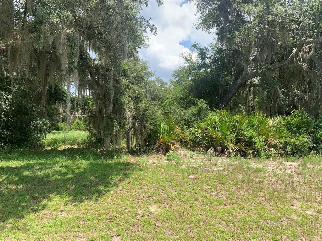 Property for sale at 3113 BRIGHT LAKE CIRCLE, GROVELAND, FL, 34736