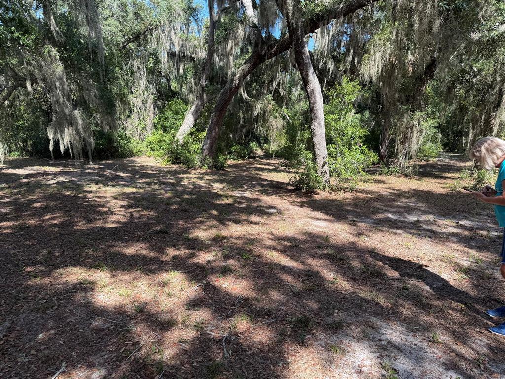 Property for sale at 3113 BRIGHT LAKE CIRCLE, GROVELAND, FL, 34736