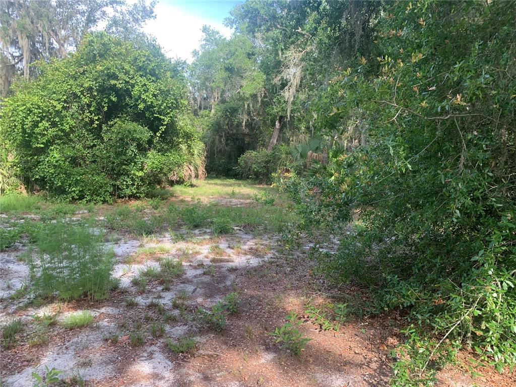 Property for sale at 3113 BRIGHT LAKE CIRCLE, GROVELAND, FL, 34736