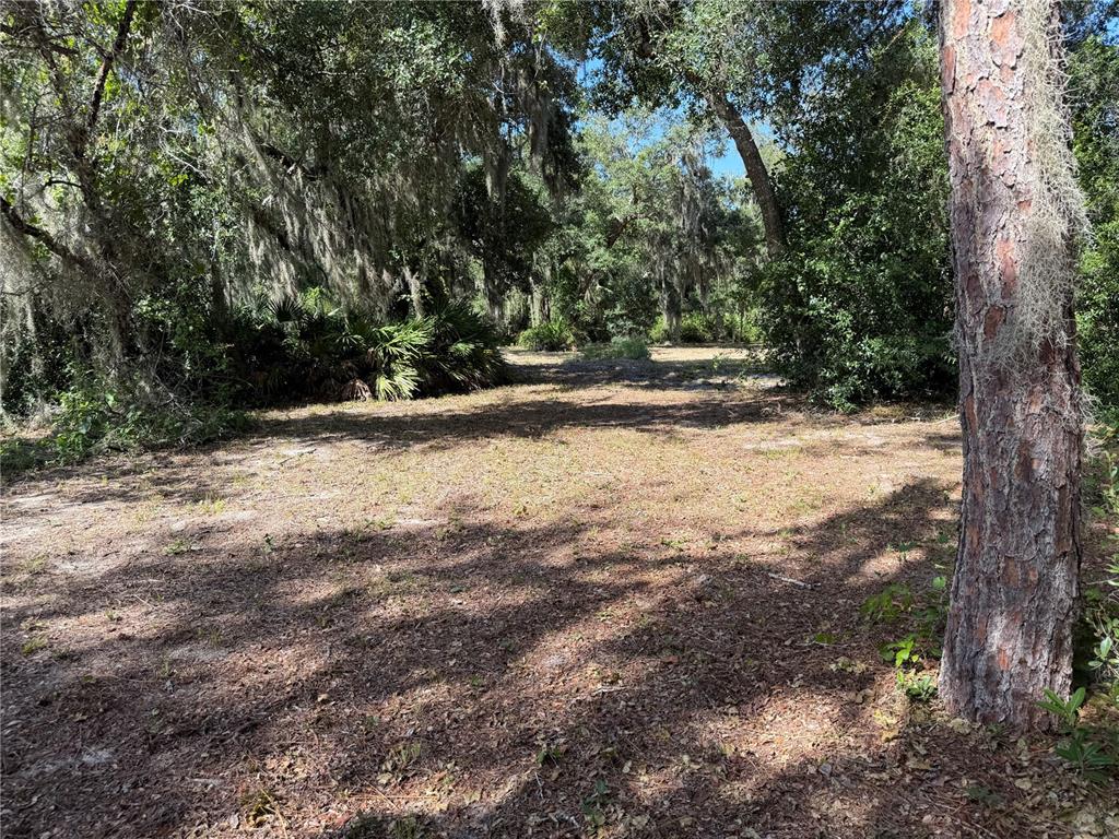 Property for sale at 3113 BRIGHT LAKE CIRCLE, GROVELAND, FL, 34736