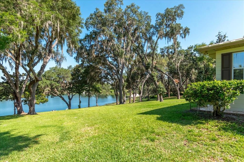 Majestic live oaks, lush green lawn, and serene lake views create the perfect backyard retreat.
