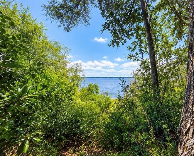 Property for sale at TBD NE 245TH STREET ROAD, FORT MC COY, FL, 32134