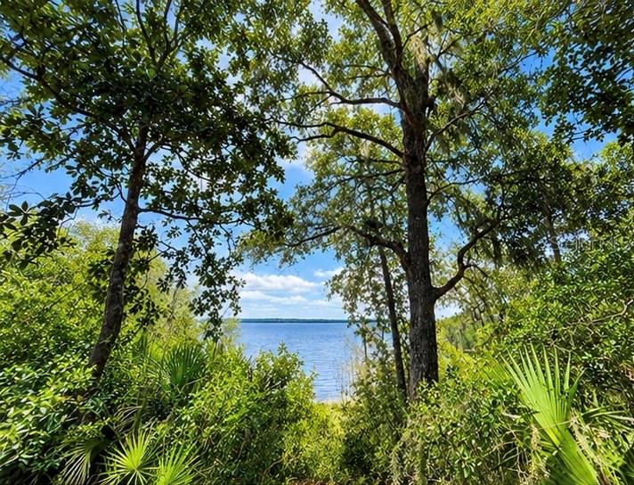 Property for sale at TBD NE 245TH STREET ROAD, FORT MC COY, FL, 32134