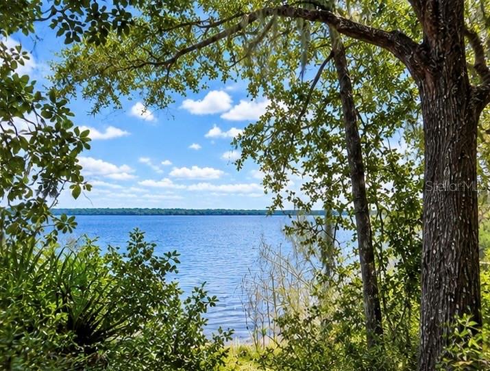 Property for sale at TBD NE 245TH STREET ROAD, FORT MC COY, FL, 32134