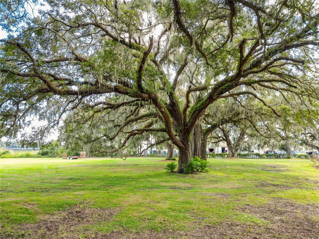 Property for sale at 2531 CR 546A, BUSHNELL, FL, 33513