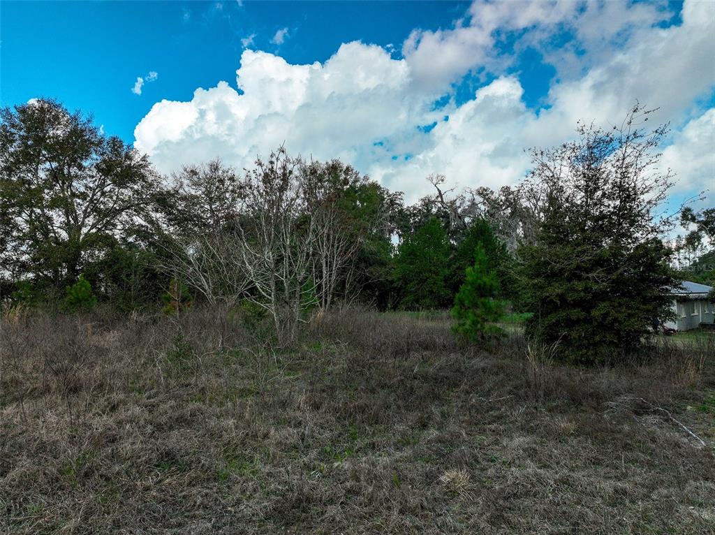 Property for sale at 106 NW FAT CAT COURT, LAKE CITY, FL, 32055
