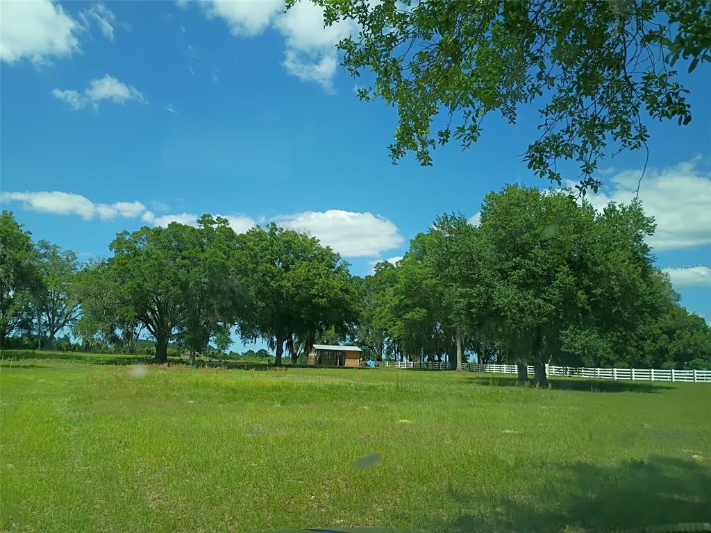 Property for sale at Lot #7 SE 66TH PLACE, MORRISTON, FL, 32668