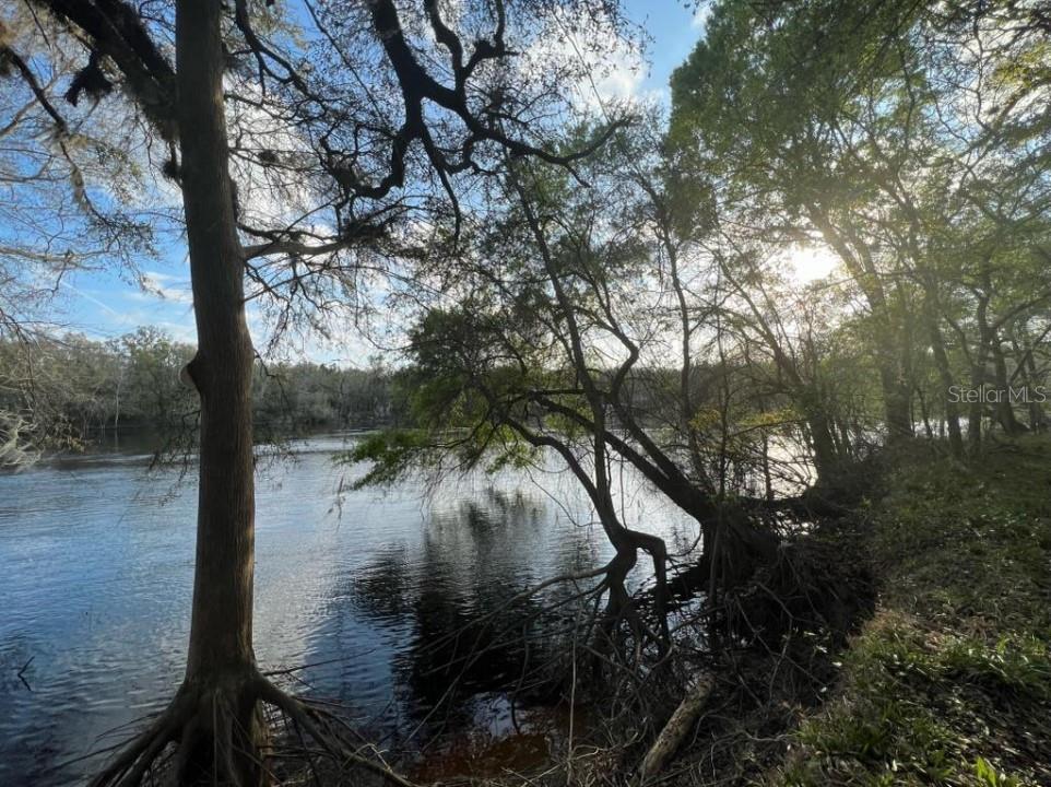 Property for sale at 1263 NW 82ND TERRACE, BELL, FL, 32619