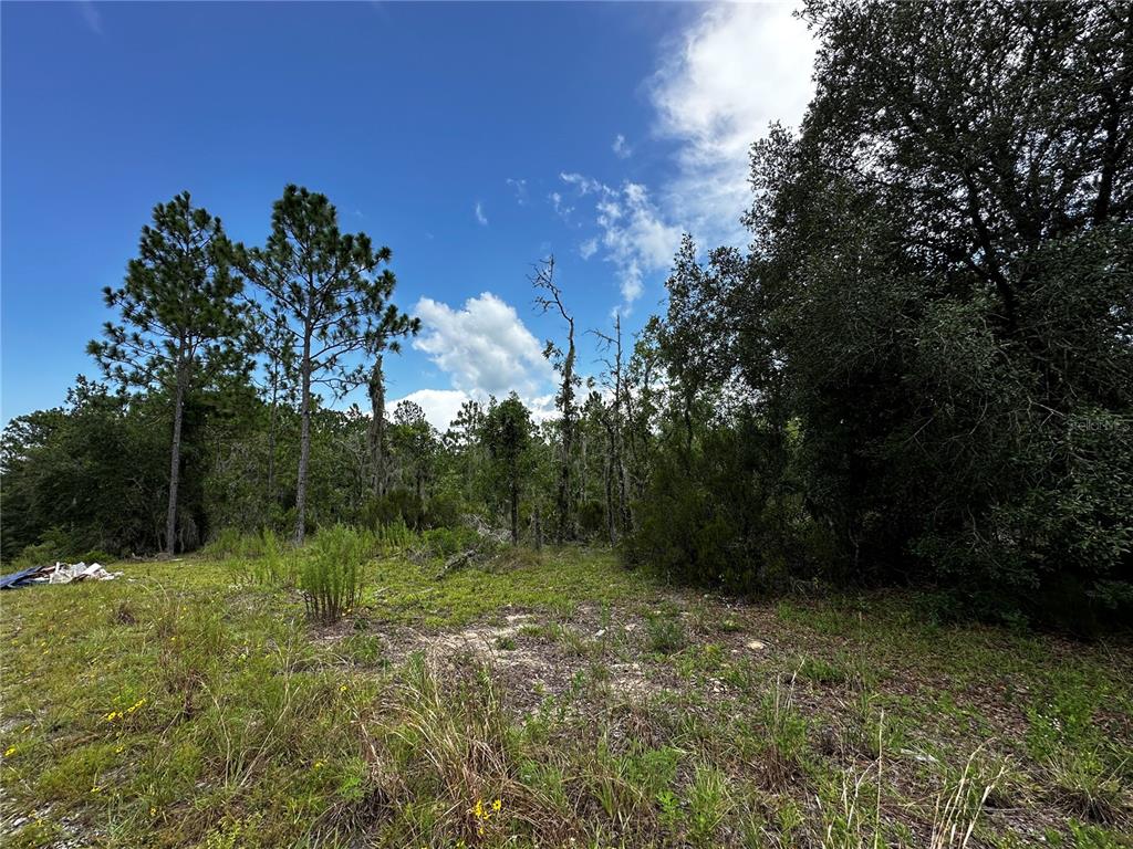 Property for sale at TBD NE 16TH LANE, WILLISTON, FL, 32696