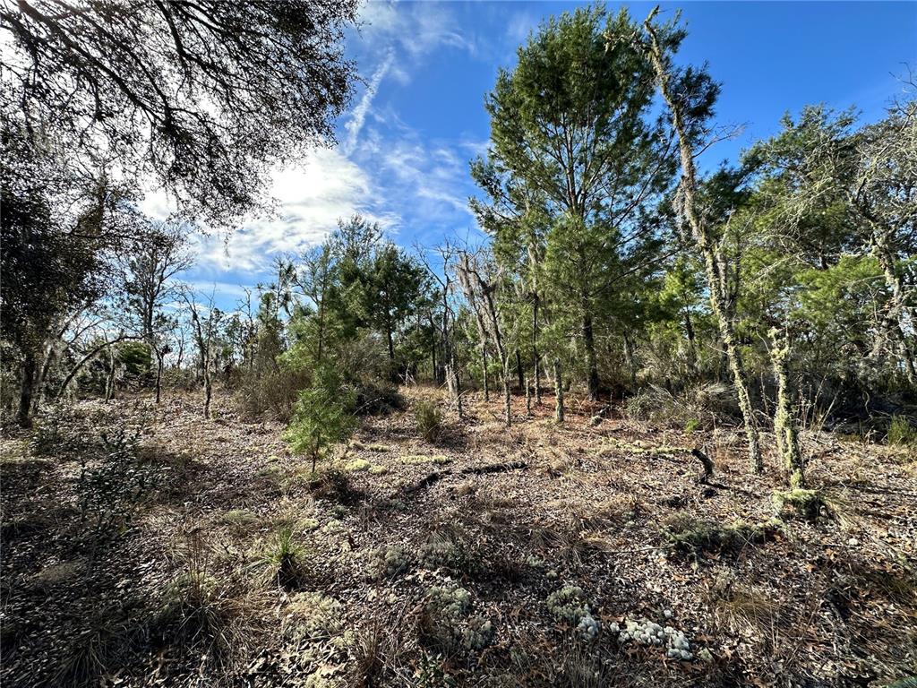 Property for sale at TBD NE 16TH LANE, WILLISTON, FL, 32696