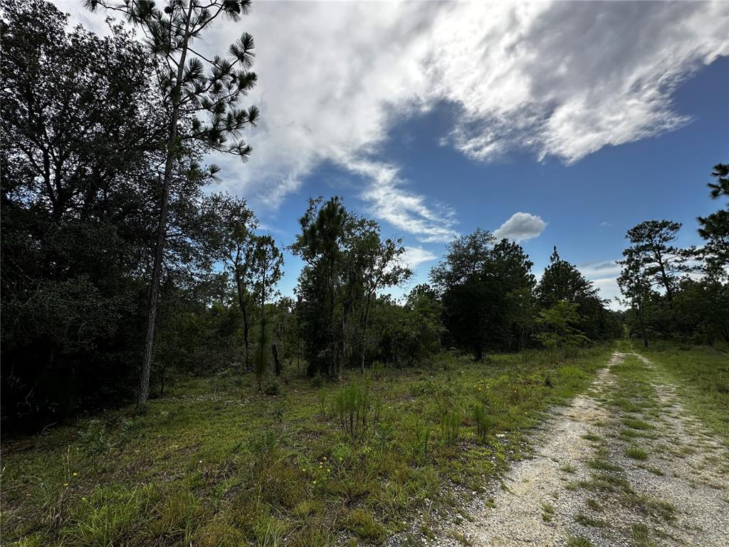 Property for sale at TBD NE 16TH LANE, WILLISTON, FL, 32696