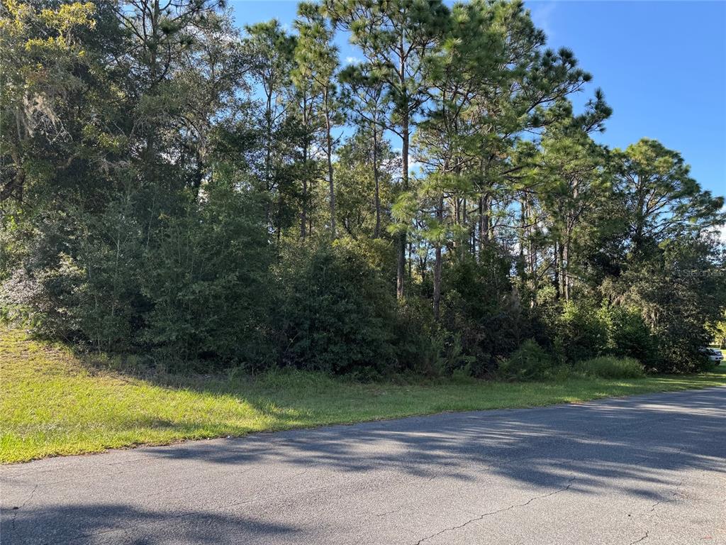 Property for sale at 12434 S CANNA POINT, FLORAL CITY, FL, 34436