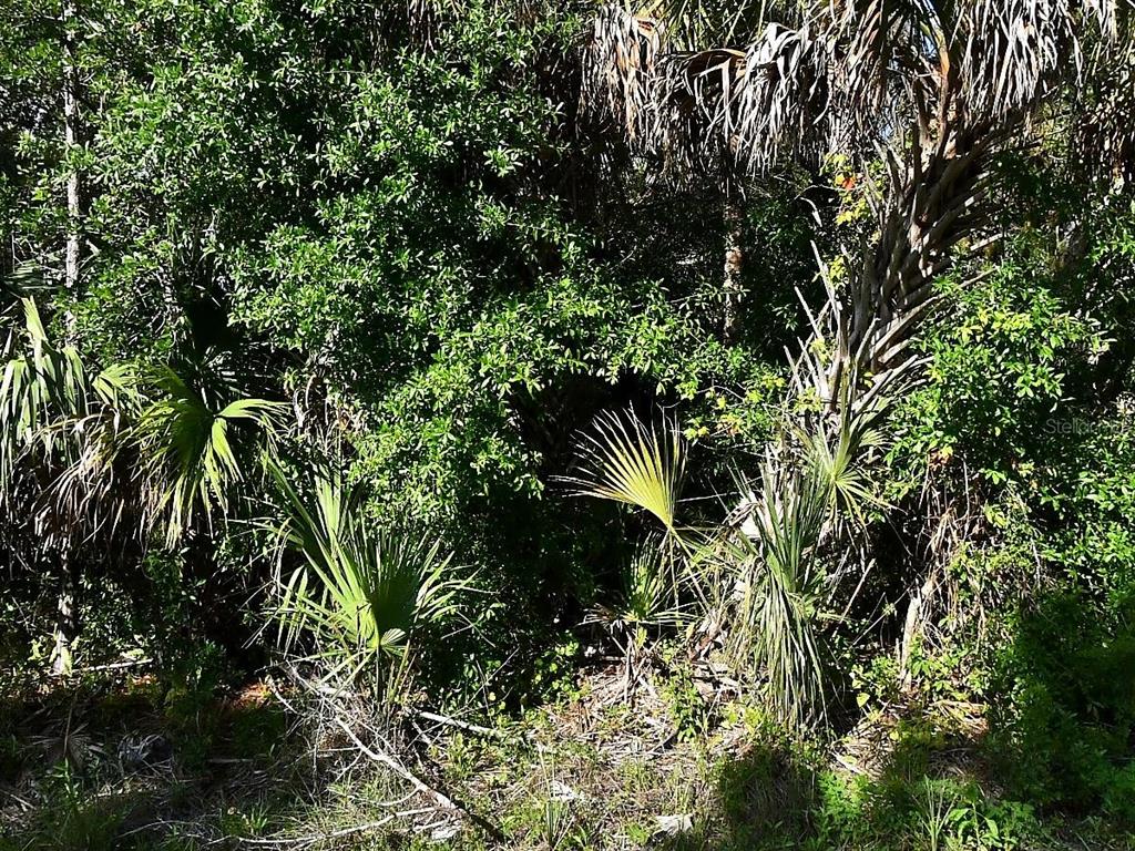 Property for sale at MONTCALM AVENUE, NORTH PORT, FL, 34291