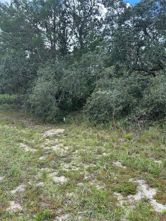 Property for sale at 00 SW 27TH CIRCLE, OCALA, FL, 34473