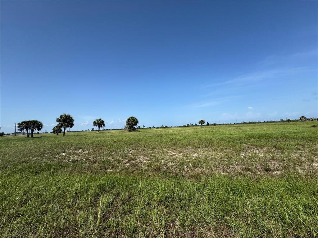 Property for sale at 55 BEGONIA DRIVE, PLACIDA, FL, 33946