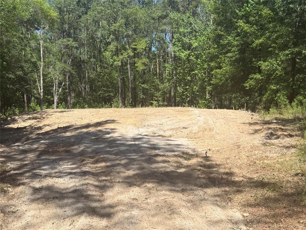 Property for sale at 0 NW 145 AVENUE, WILLISTON, FL, 32696