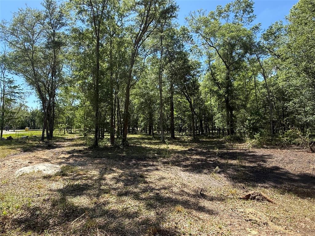 Property for sale at 0 NW 145 AVENUE, WILLISTON, FL, 32696